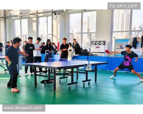 杨强独家分享乒乓球技巧与心得助你提升球技的秘密与经验